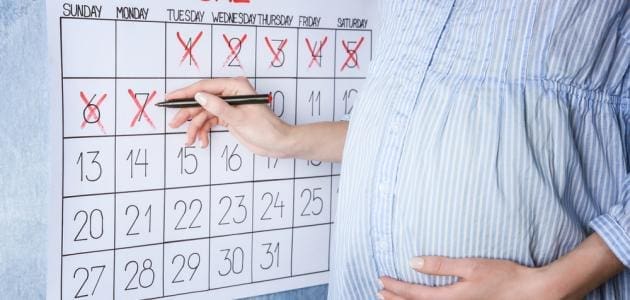 حساب موعد الدورة الشهرية والحمل