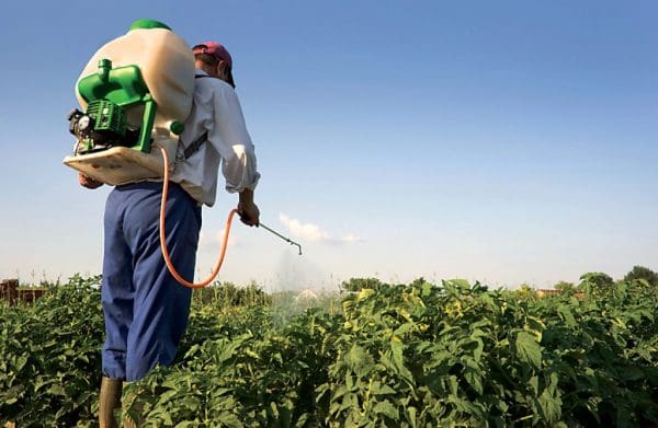كيف تحصل على صلاحية تجارة المبيدات في مصر ؟