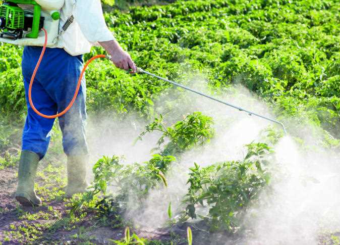 كيف تحصل على صلاحية تجارة المبيدات في مصر