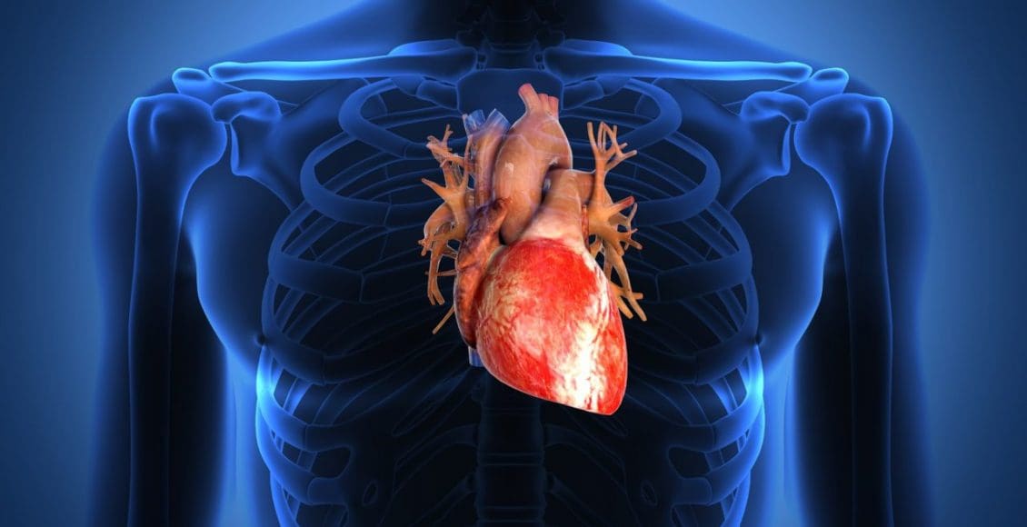 هل ضعف عضلة القلب خطير؟