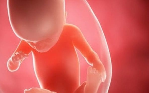 كيف تكون حركة الجنين الذكر في الشهر السادس