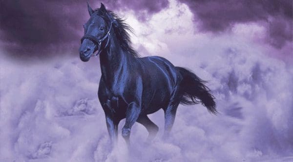 تفسير حلم الحصان الأسود في المنام  