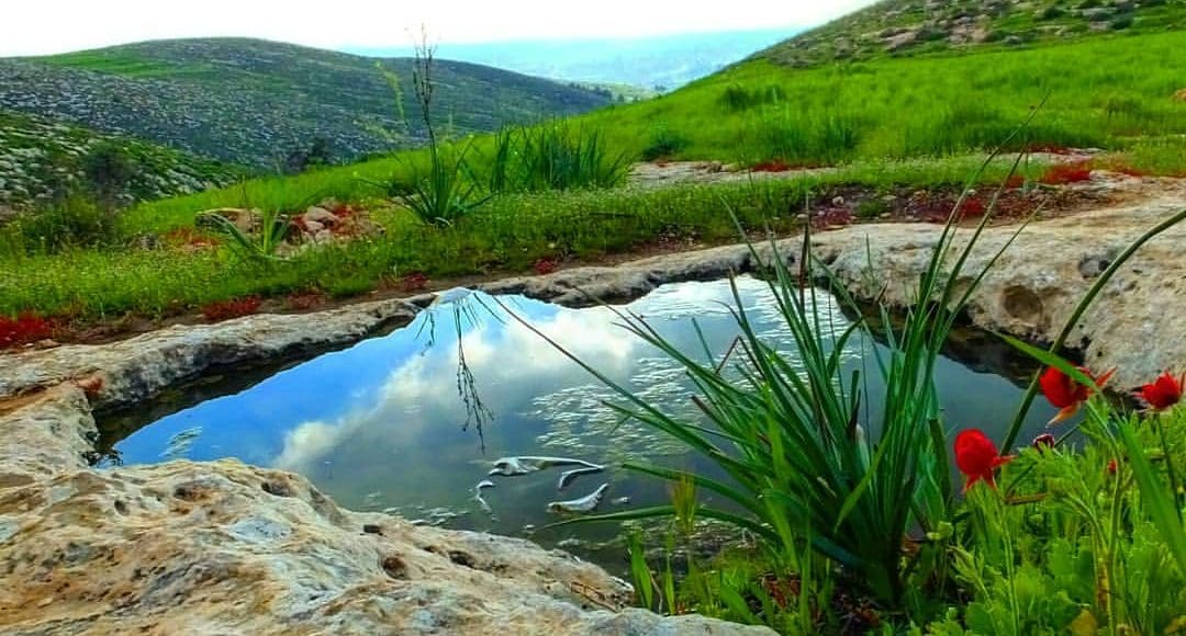 الطبيعة في فلسطين