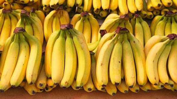 تفسير حلم شراء الموز في المنام