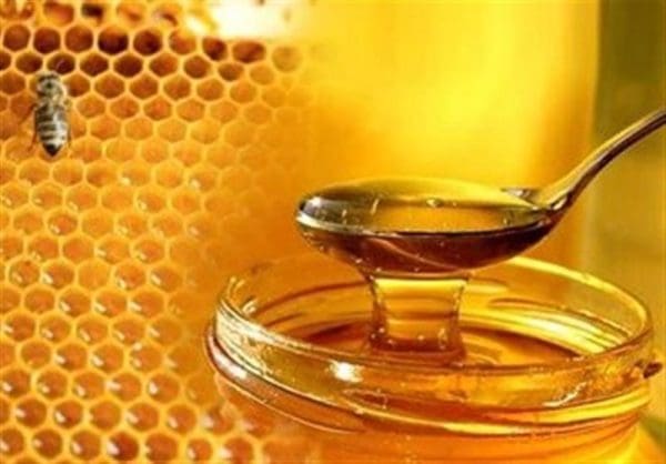 علاج التهاب الدم بالعسل