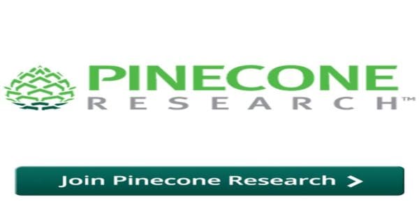 موقع استطلاع Pinecone Research
