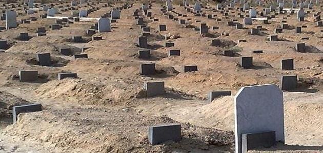 هل زيارة القبور حرام