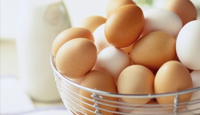 تفسير حلم جمع البيض من تحت الدجاج
