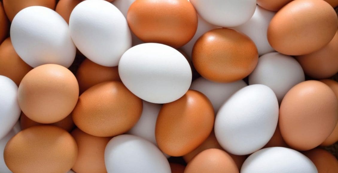 تفسير حلم البيض والدجاج في المنام