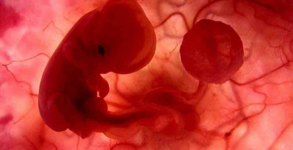 هل الإجهاض في الشهر الرابع يحتاج تنظيف