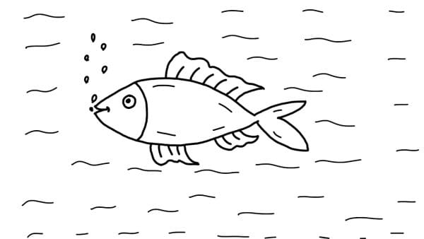 رسومات الأسماك بالرصاص للمبتدئين