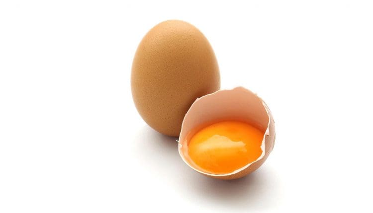 تفسير البيض النيء في المنام للعزباء