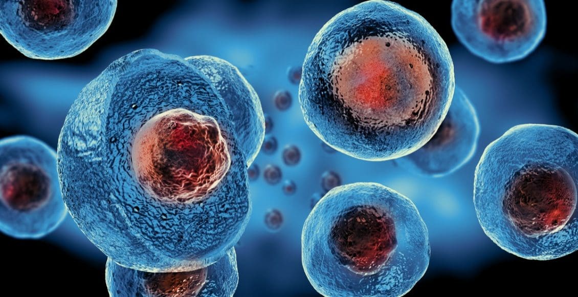 ما هي الخلايا الجذعية وما أهميتها