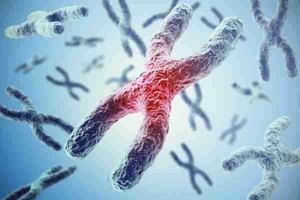 عدد الكروموسومات الموجودة في الخلية الجنسية عند الانسان هي 46 كروموسوم