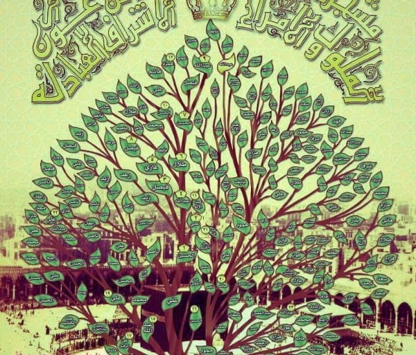 شجرة الأشراف في السعودية