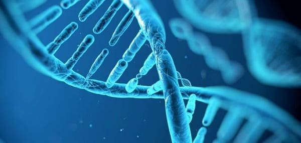 الفرق بين DNA و RNA في جدول