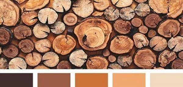 درجات اللون البني في الخشب