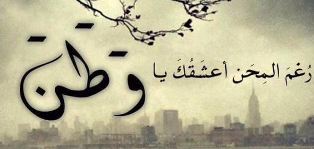 آيات قرآنية عن الوطن مصر
