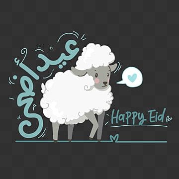 أجمل الصور خروف العيد
